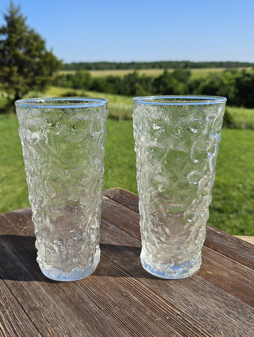 Set of 2 Vintage Anchor Hocking Milano Lido Clear Glasses MCM Bark Ice Textured